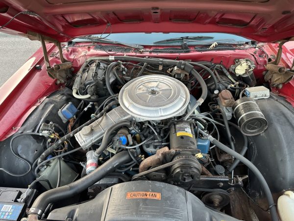 Ford LTD Landau, 1977